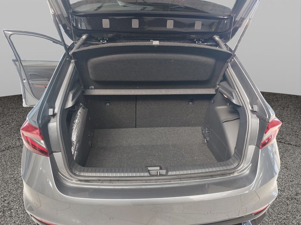 Fahrzeugabbildung SKODA Fabia 1.0 TSI Monte Carlo LED Navi SHZ