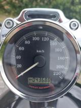 Harley-Davidson Sportster 883 Custom - Offers matching your search criteria
