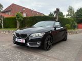 BMW 220I Cabrio Luxeryline Leder Navi Pdc Automatik - BMW 220