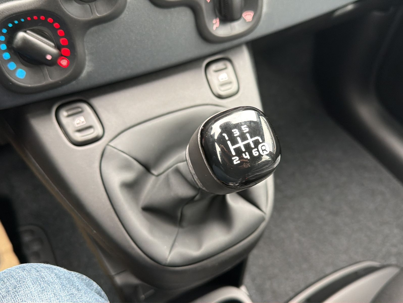 Fahrzeugabbildung Fiat Panda Pandina Icon