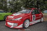 Peugeot 206 RC 180 WRC Edition 2 Limitiert auf 100 Stück - Peugeot 206: 206rc
