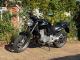 Honda CBF 500, PC39, 48 PS gedrosselt - TÜV NEU - HONDA CBF 500