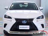 Lexus LEXUS NX 300 NX300H HYBRID BUSINESS AUTOMATICA C - Lexus aus 2019