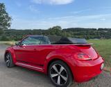 Volkswagen VW Beetle Cabriolet 2.0 TDI DSG | Automatik - Volkswagen Beetle: TDI