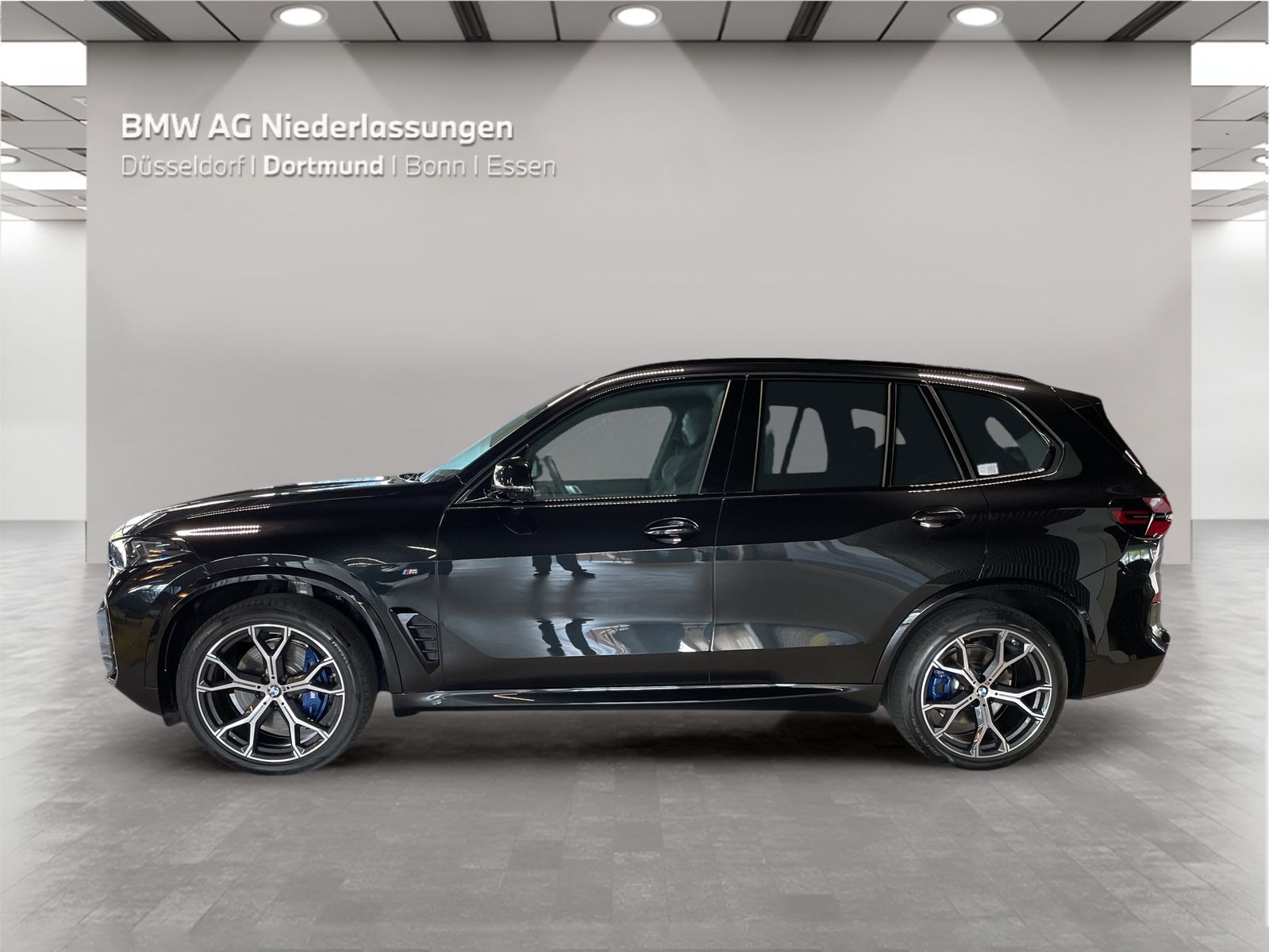 BMW X5 xDrive40d M Sport AHK Driv.Assist.Prof LED foto 3