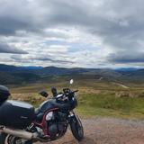 Suzuki Bandit GSF 1200 S GV75A (Kult) - Angebote