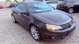 Volkswagen Eos Basis CABRIO   TÜV INSP GARANTIE!!!!!! - Volkswagen Eos aus 2011: Cabrio