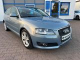 Audi A3 1.6 Ambition - Audi A3 mit Benzin-Antrieb: Limousine, Klimaautomatik, 1.6