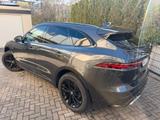 Jaguar MwSt! F-Pace D300 R-DYN. SE 90th Ann. Ed. AWD... - Jaguar Gebrauchtwagen von 2025