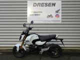 Honda MSX 125 Grom ABS * 6 Jahre Garantie * - Honda Motorräder in Saarbrücken