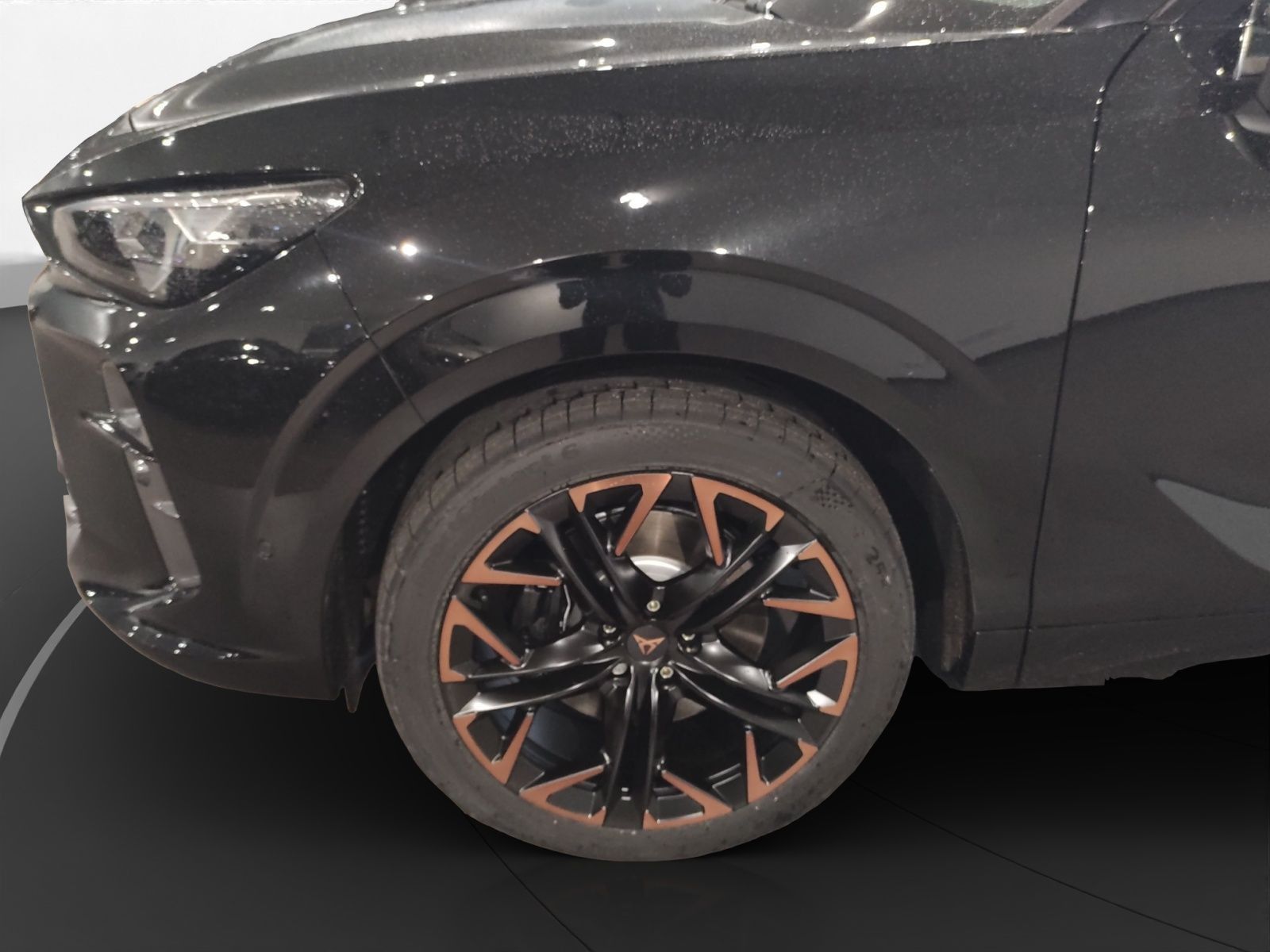Cupra Terramar - Bild 8