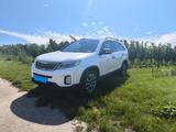Kia Sorento 2.2 CRDi AWD Platinum Edition Automatik  - Kia Sorento in Mainz