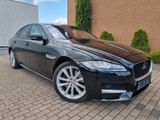 Jaguar XF R-Sport*LEDER*HEAD-UP*CAM*VOLL* - Jaguar XF in Bielefeld