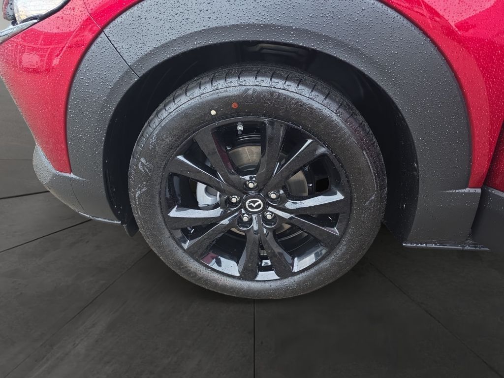 MAZDA CX-30 HOMURA 2.5G 140PS AT Navi Kamera LED-Licht MAZDA CX-30 HOMURA 2.5G 140PS AT Navi Kamera LED-Licht