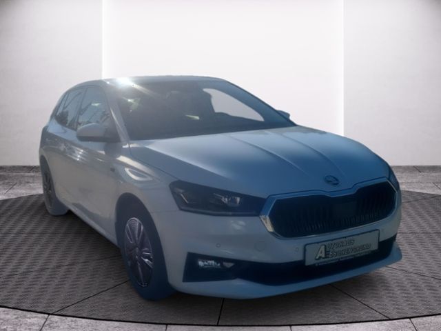 Fahrzeugabbildung SKODA Fabia 1.0 TSI Tour WINTER PLUS LENKRADHZG