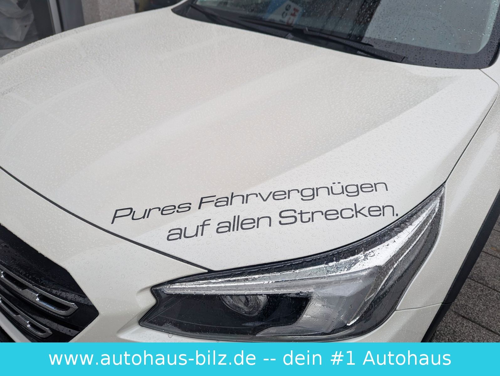 Bild 23