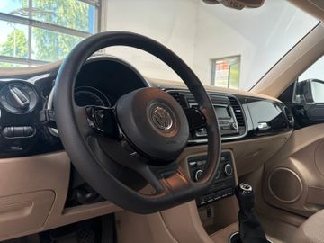 Volkswagen Beetle - 8