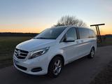 Mercedes-Benz Mercedes Benz V-Klasse 250d 4-Matic Allrad... - Mercedes-Benz E 250: Van