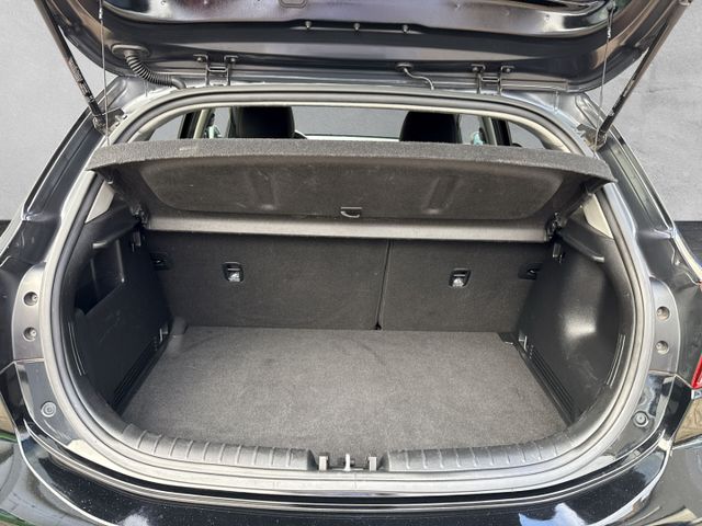 Rio Dream Team 1.4 NAVI CAM KLIMA LHZ SHZ BC PDC